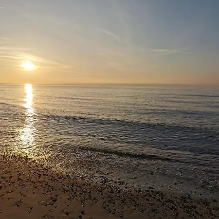 Wrzosowy Platynowy Sea&forest *